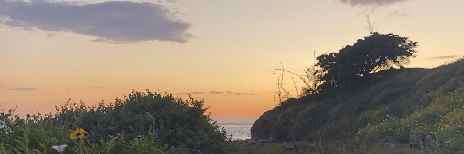 dharmabartram's profile banner image