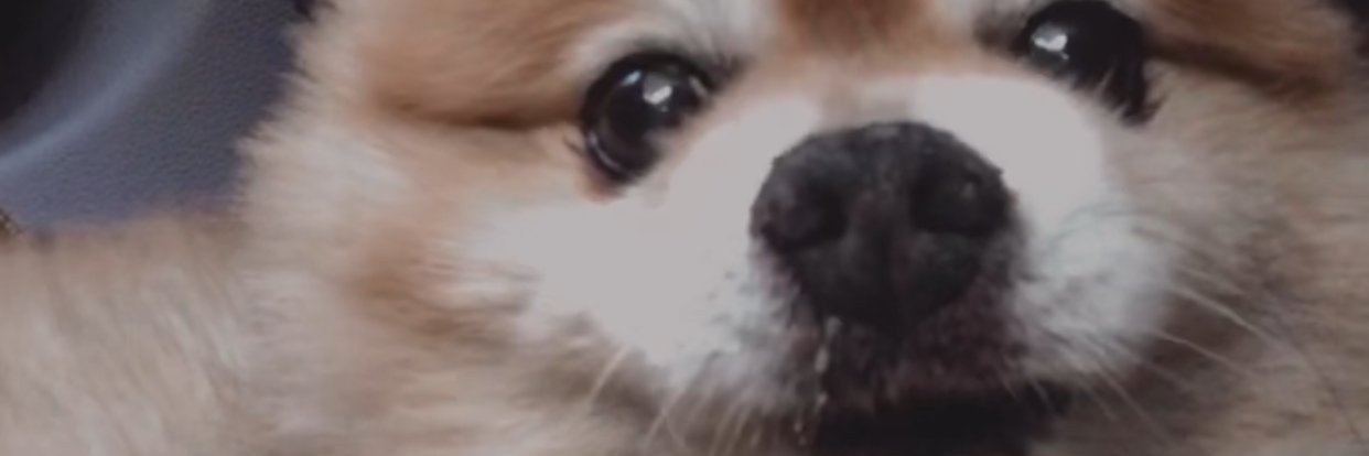 JoeTof_'s profile banner image