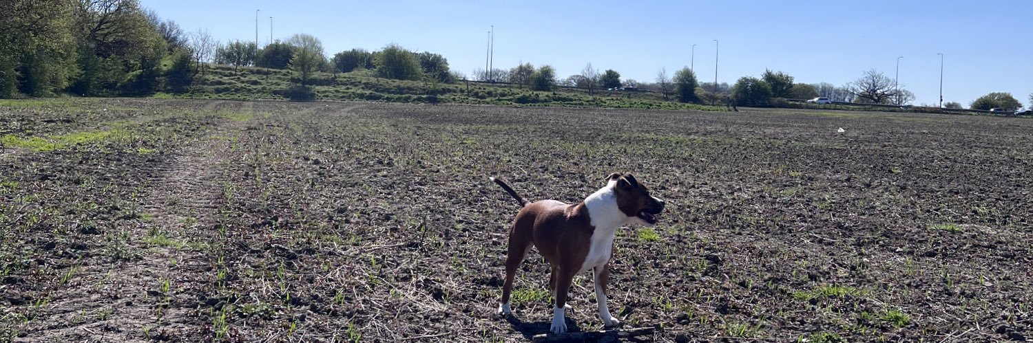 John_Pollitt10's profile banner image