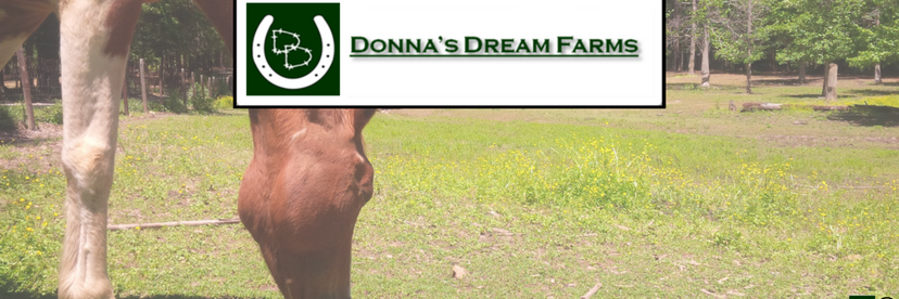 DonnasDreamFarm's profile banner image