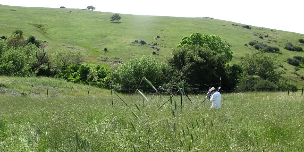 Nutrient Network banner