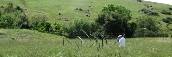 NutNetGlobal Profile Banner