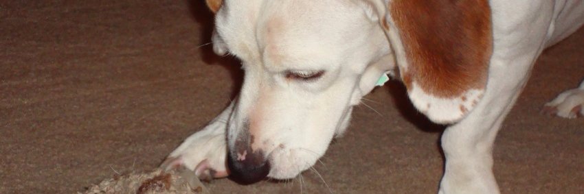 agentjethro's profile banner image