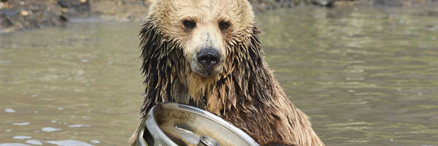 Bear 🥕👙 #FBB banner