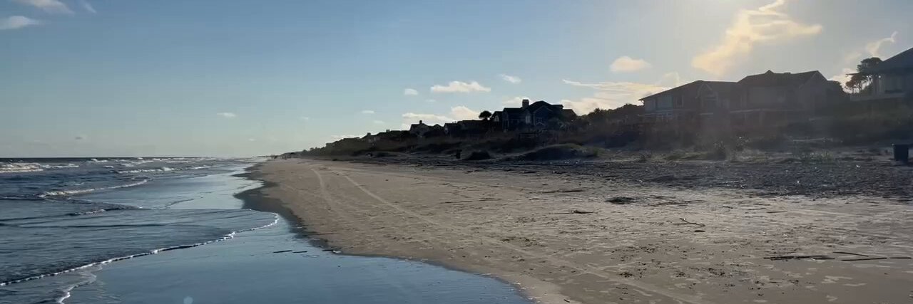 Sabrina Drammis banner