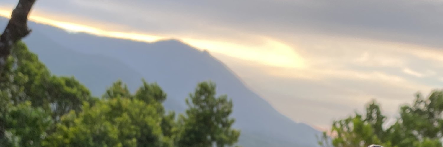 _lolocamargo's profile banner image