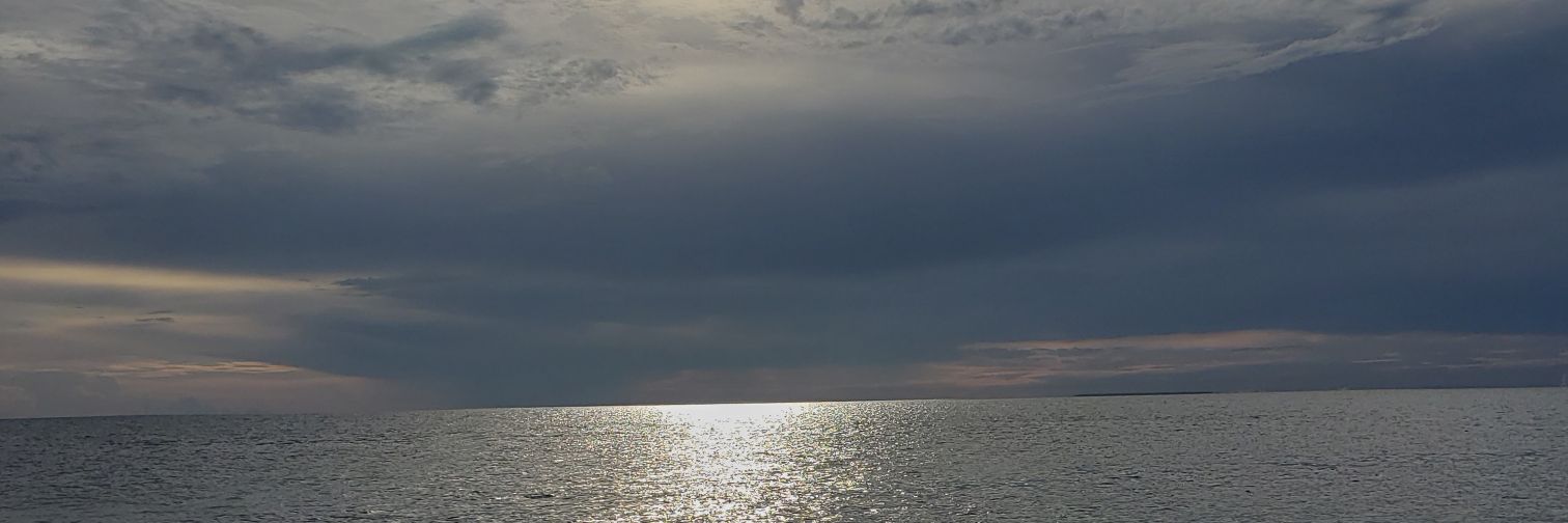 Edwin Quiel banner
