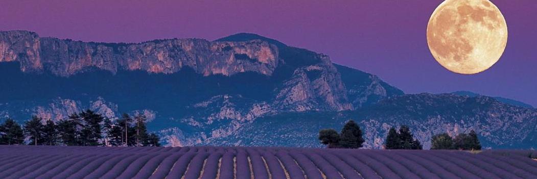 BishopLaine's profile banner image
