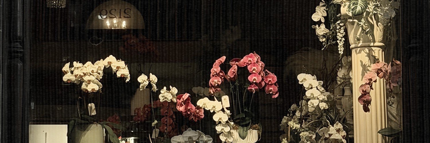Rinavyu's profile banner image