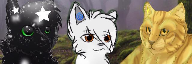 warrior_cats101's profile banner image