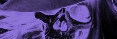 紫のアルバム banner