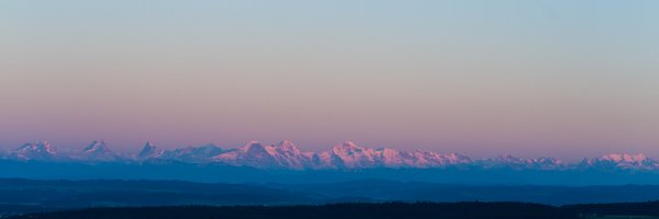 danielarber Profile Banner