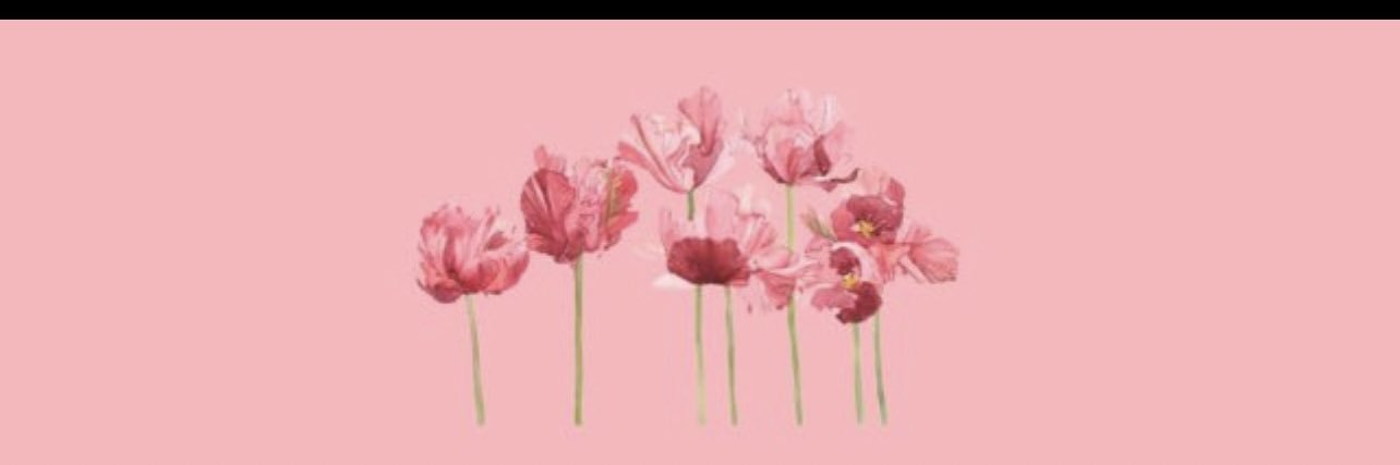 soniabsmooth's profile banner image