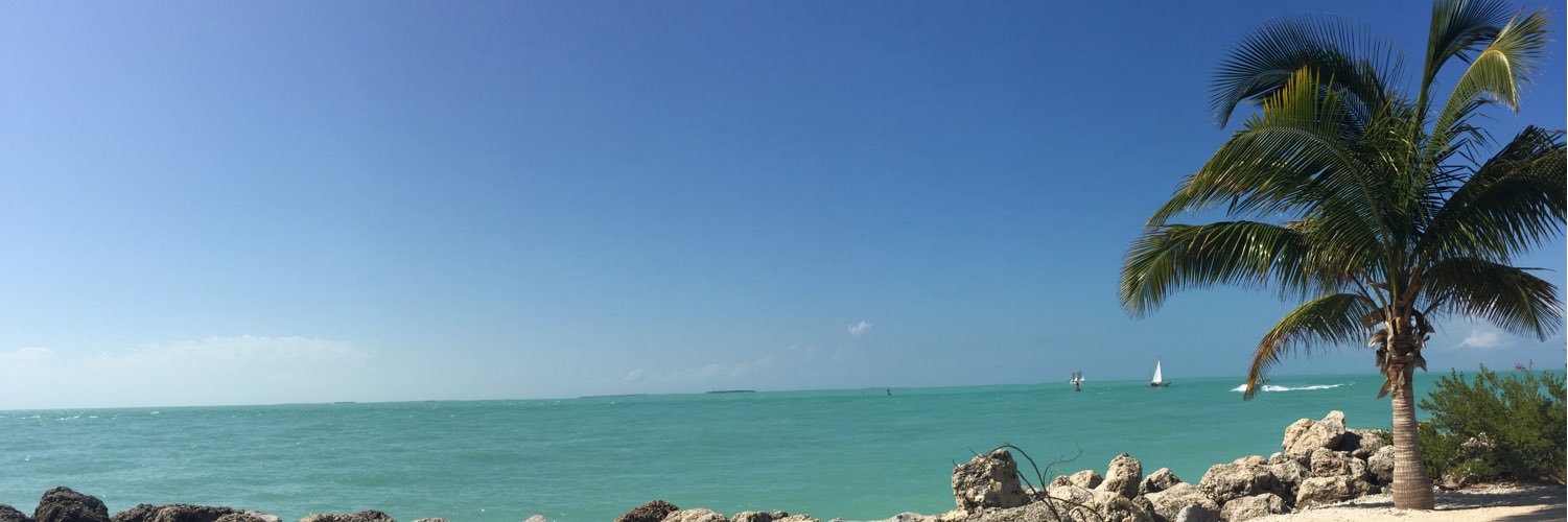 _ristjob's profile banner image