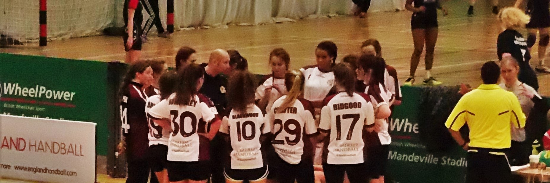 Somerset Handball banner