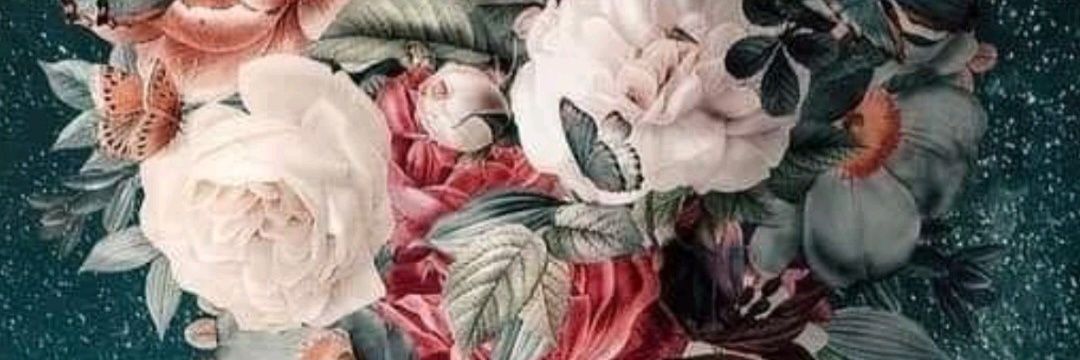 Beatriz Cristina banner