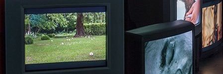 donavonlea's profile banner image