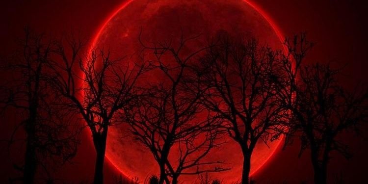 fangozz's profile banner image