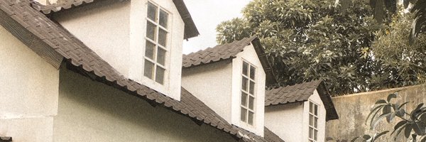 johanestira Profile Banner