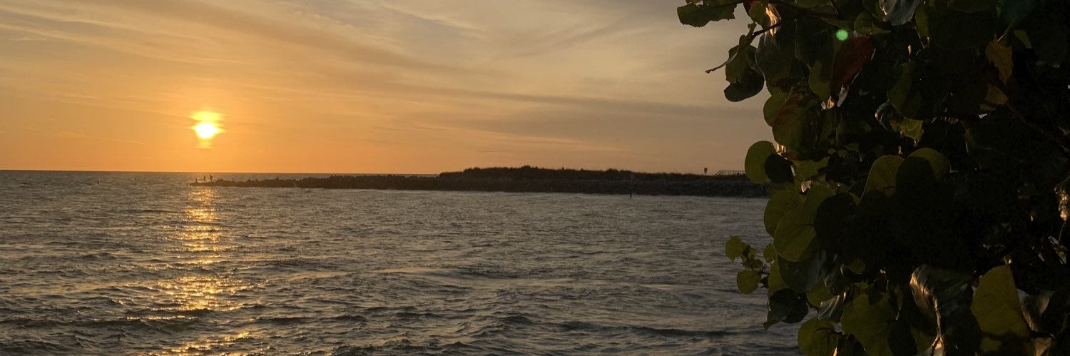 13denissee's profile banner image