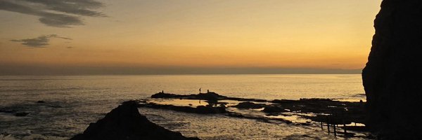 rushrmny Profile Banner