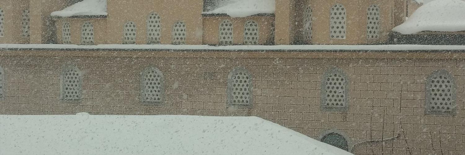 aylarvar's profile banner image