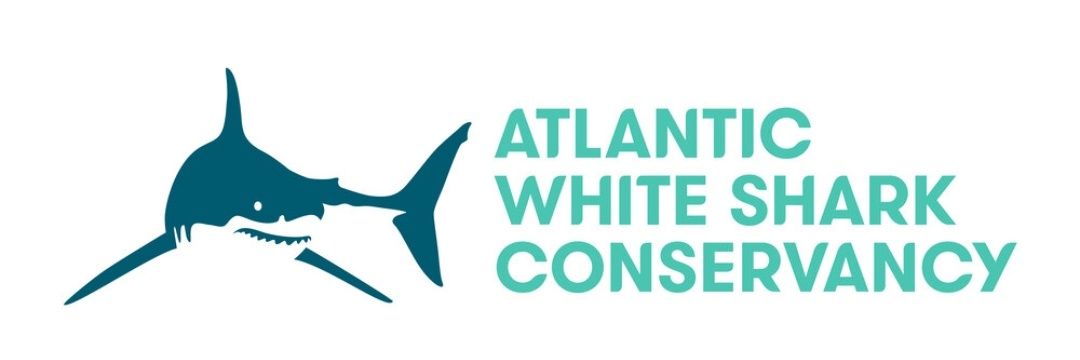 Not the Real POTUS ⚕️🥼⛑️🐈🐕🐋🦈🦝🐿🐇🦃🦔🦄🦓🐐 banner