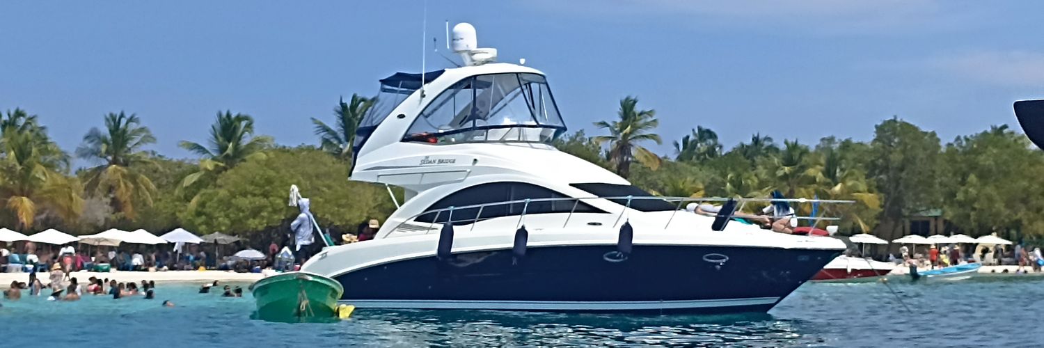 I am Alan 🇻🇪 banner