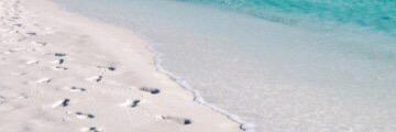 kittysch's profile banner image