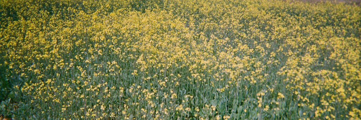osyatchu's profile banner image