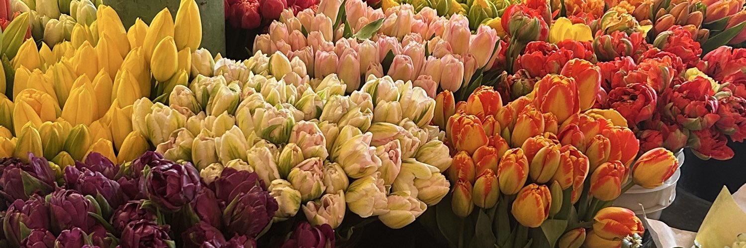 anvitha 🕊️ banner