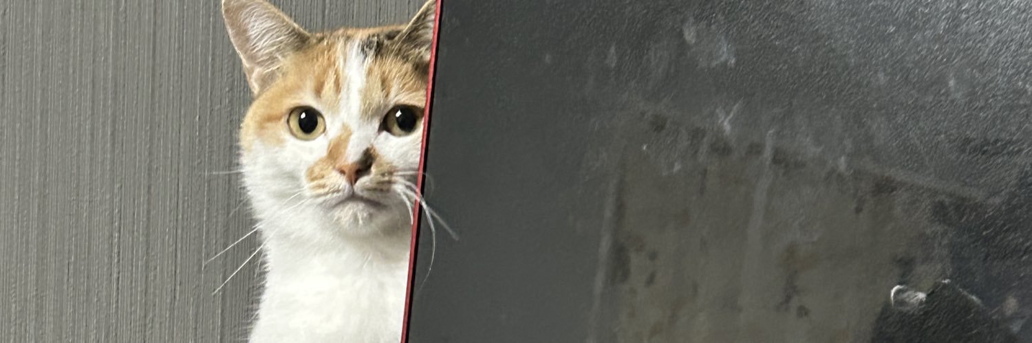 GoODexvs's profile banner image