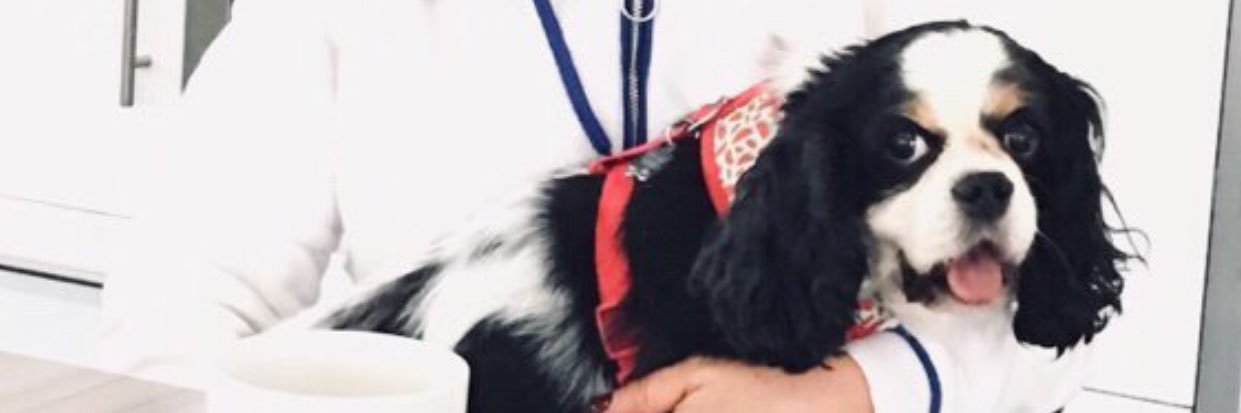 Amandasmjack's profile banner image