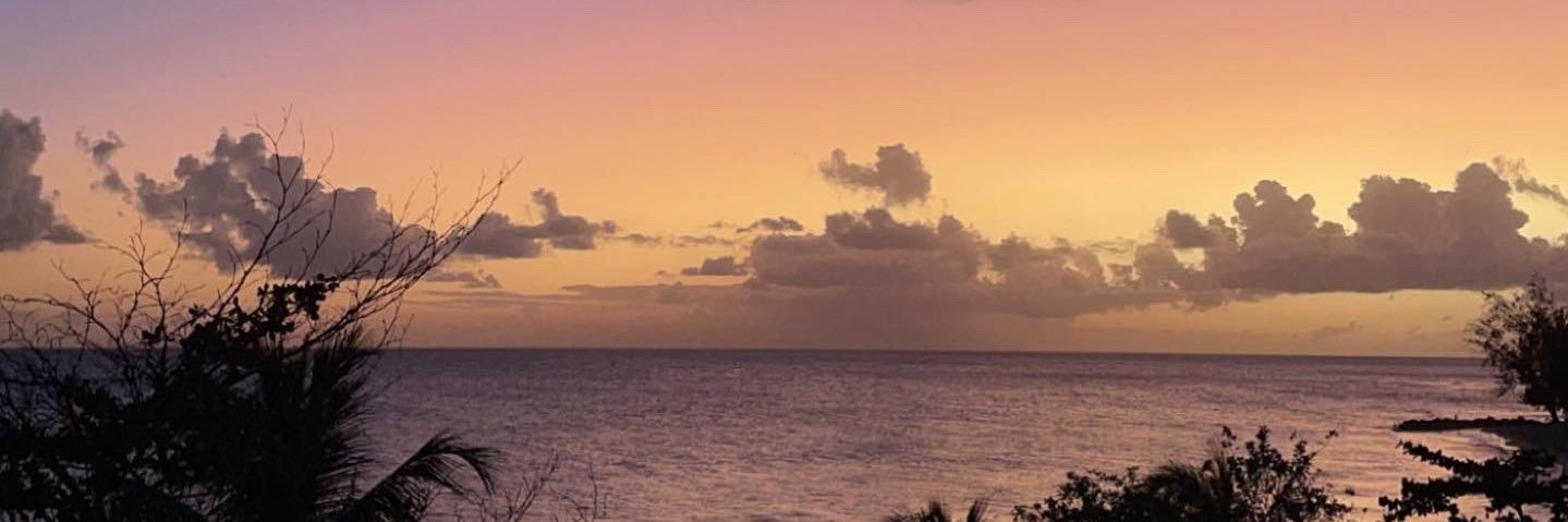 PJ | Switch Stop banner