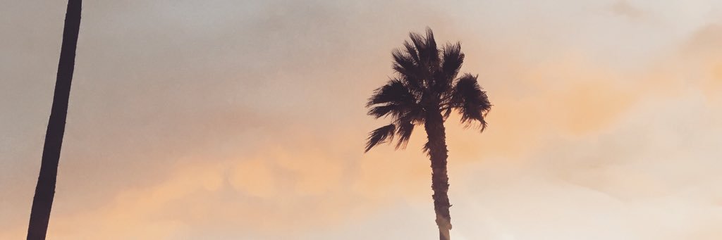 abbyengler11's profile banner image