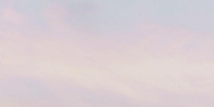 lilybrbgdr's profile banner image