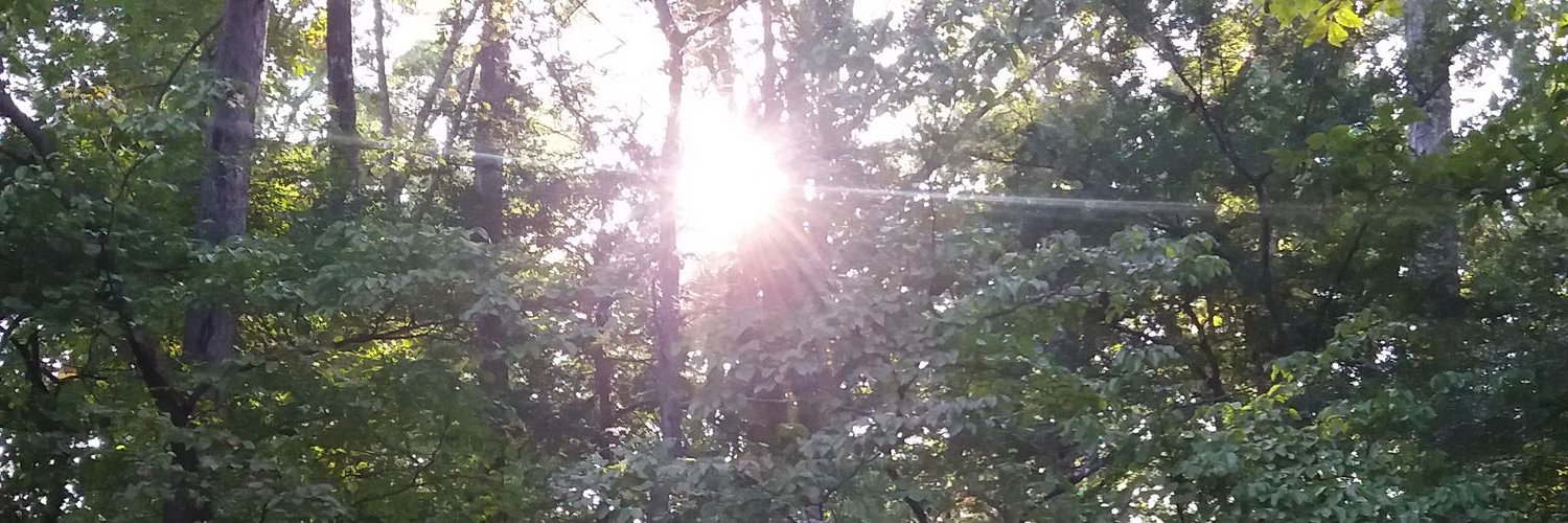 imtheasshat's profile banner image