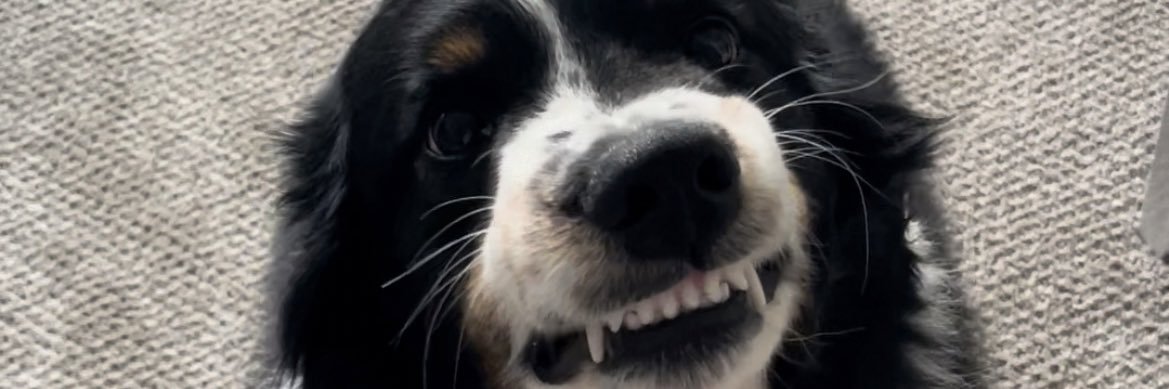 HaileyKillgore's profile banner image