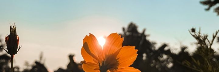 CamiLanfra's profile banner image