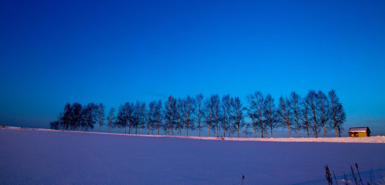 iselegant | Masaya Arai banner