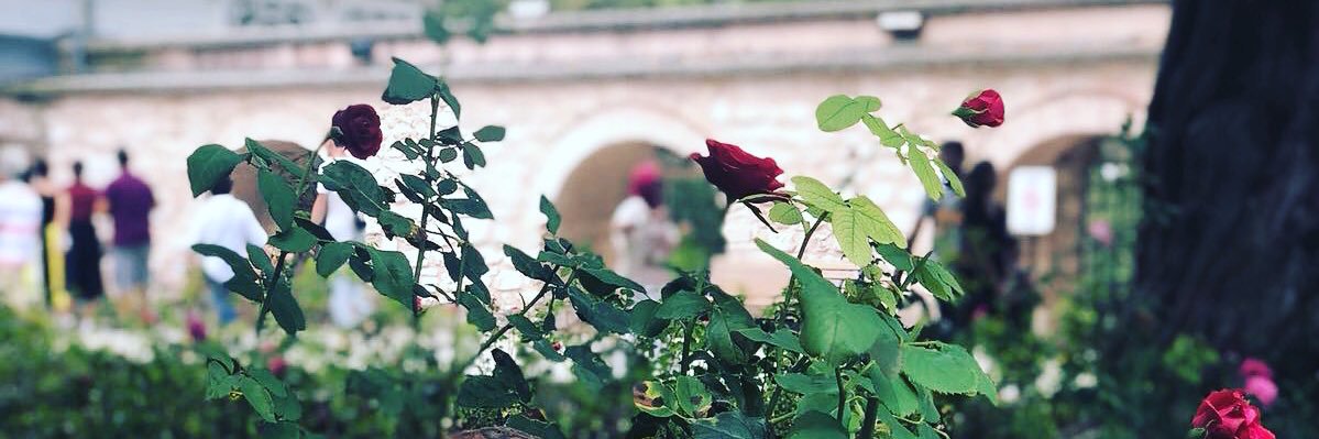 manlook809's profile banner image
