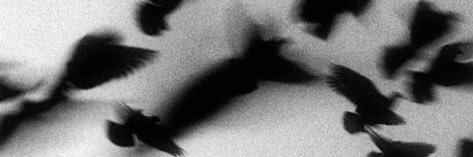 ryancacola's profile banner image