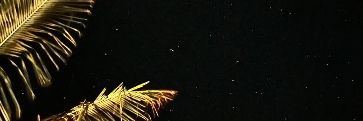 ximmh's profile banner image