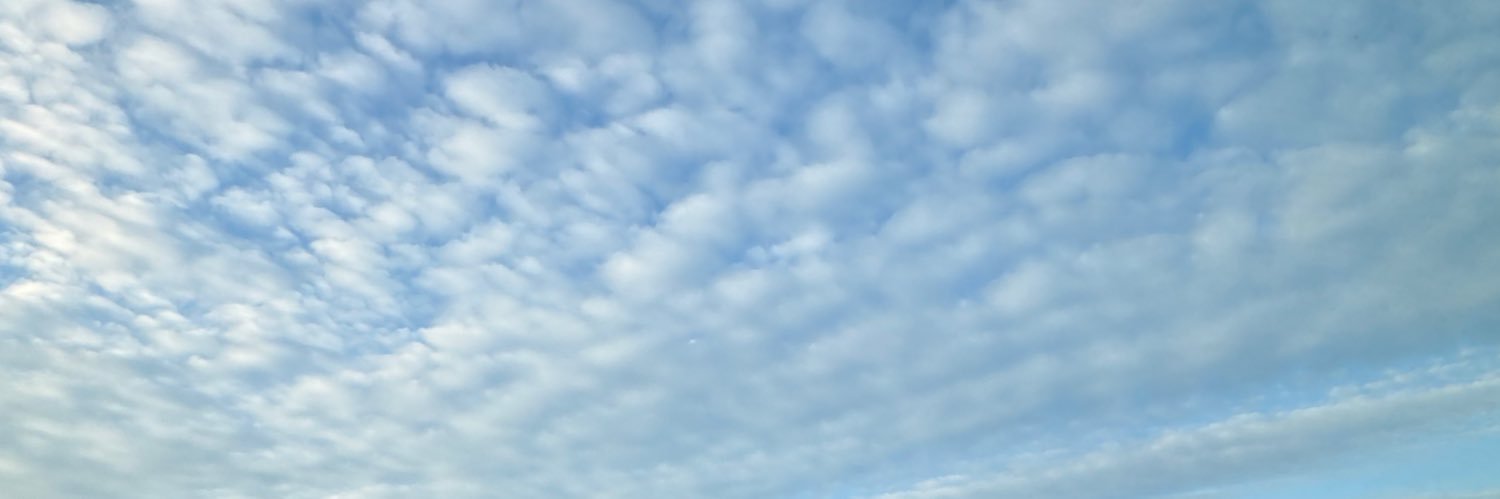 abbyflowz's profile banner image
