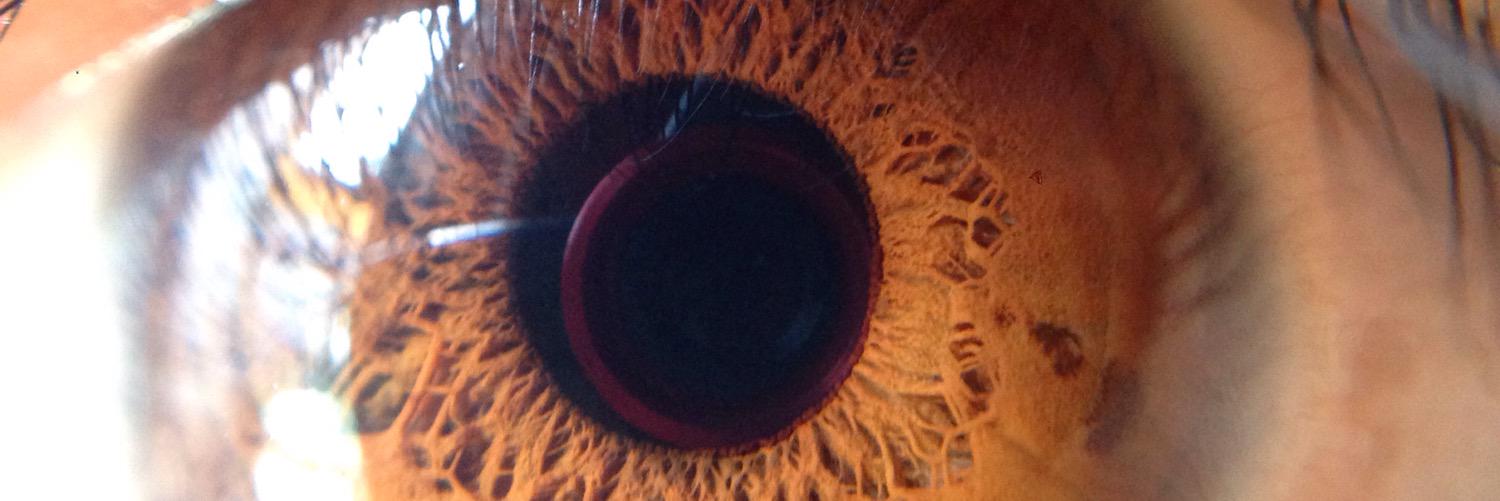 Pabloarayasw's profile banner image