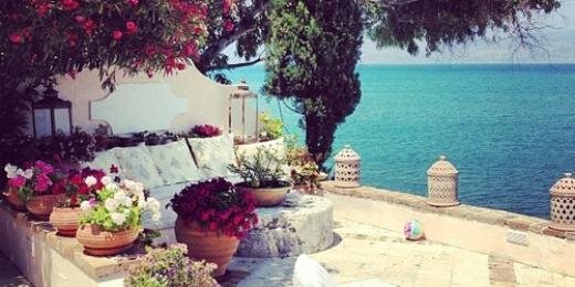 asha thee flyest banner