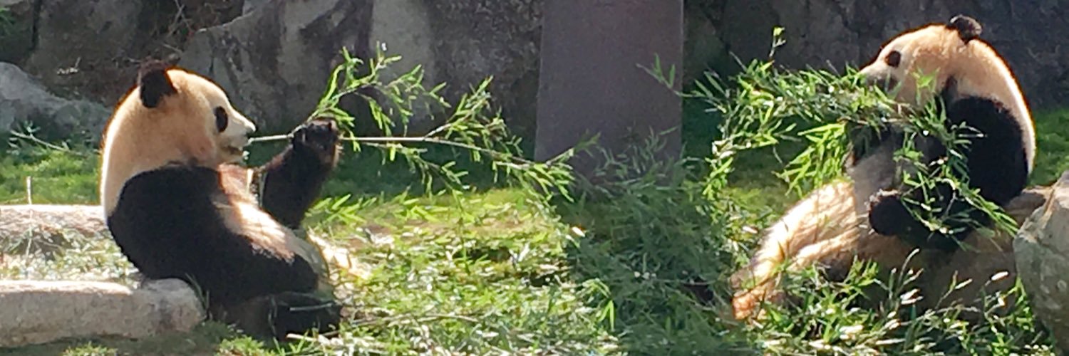 opalusiel7's profile banner image