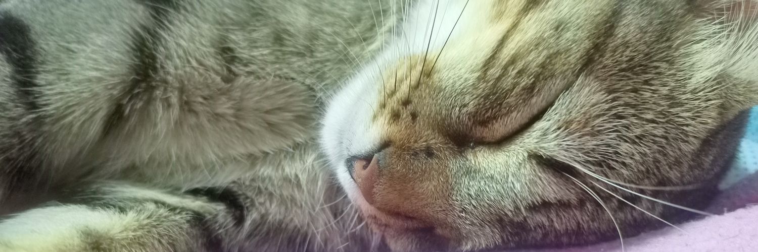 LauraJara217's profile banner image