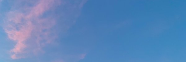 charonne__ Profile Banner