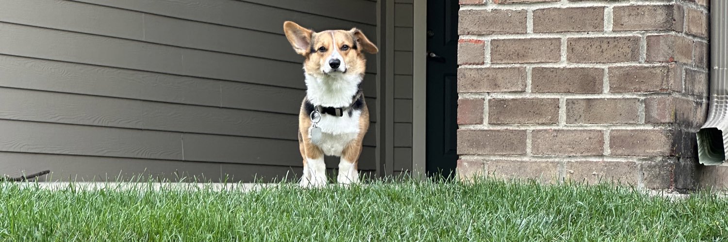 Rodolfo Leyva banner